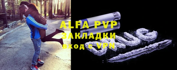 круглые Белокуриха